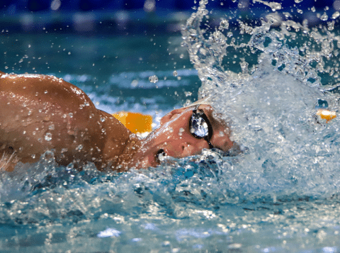 Sponsorship - Swimming Waikato